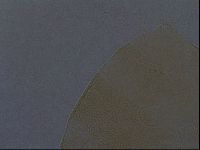 Echiniscus aliquantillus image