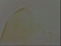 Diploechiniscus oihonnae image