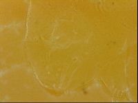 Echiniscus quadrispinosus image