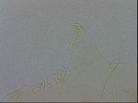 Echiniscus wendti image