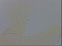 Echiniscus wendti image