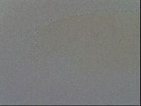 Ramazzottius oberhaeuseri image