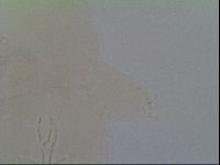 Thulinius saltursus image