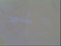 Thulinius saltursus image