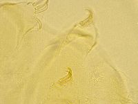 Echiniscus trisetosus image