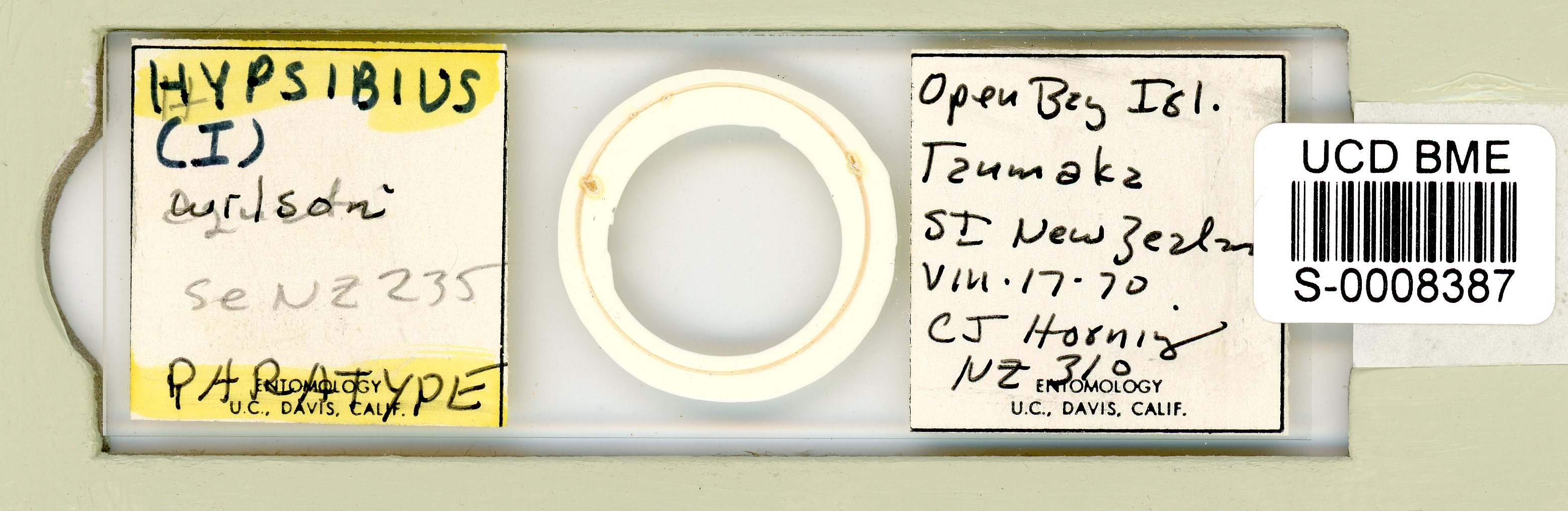 Isohypsibius wilsoni image