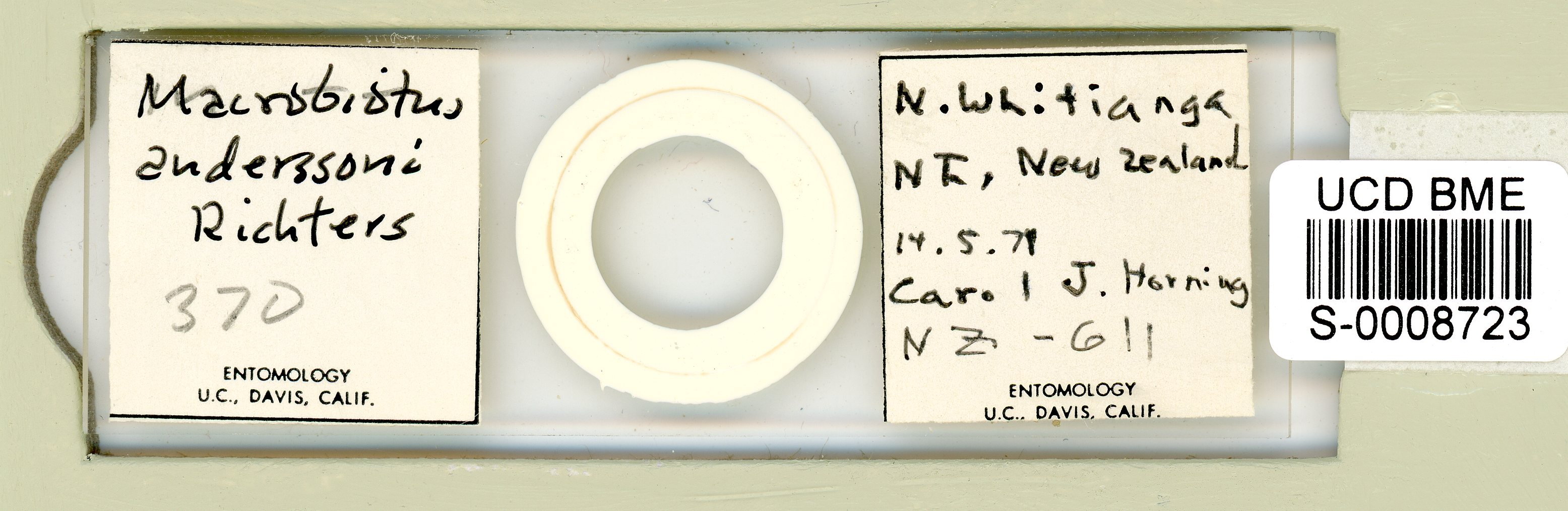 Macrobiotus anderssoni image