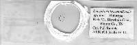 Media resource of Doryphoribius smokiensis