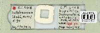 Thumbnail image of current specimen