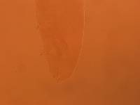 Adropion scoticum image