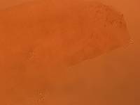 Adropion scoticum image