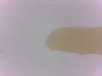 Adropion scoticum image