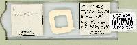 Adropion scoticum image